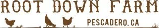root down farm logo.jpeg