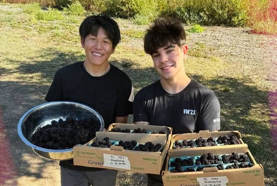 YouthCorps — Pie Ranch