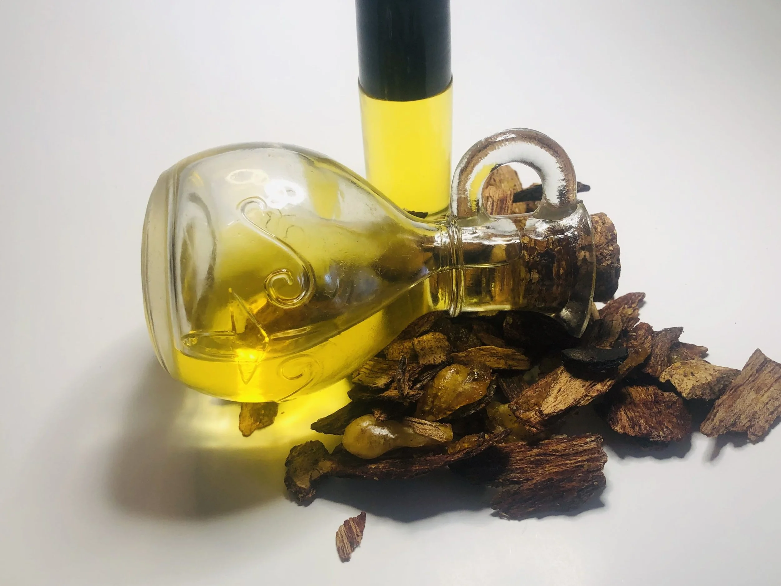 Touch Not My Anointed oil