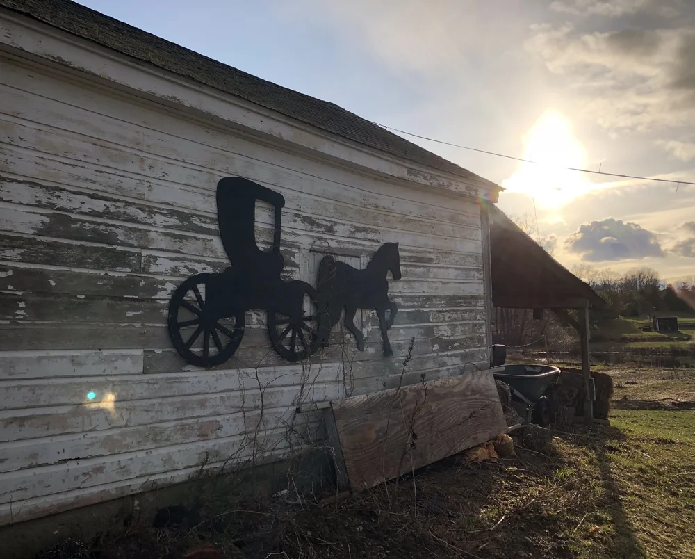 Our Story Heron Pond Farm