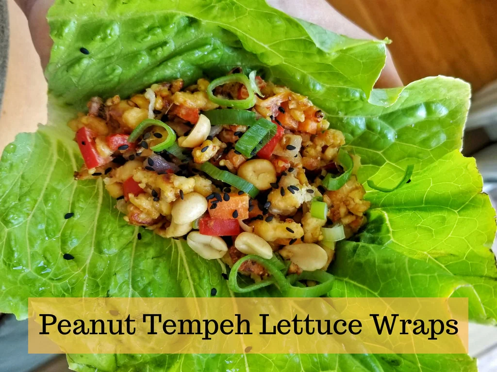 peanut-tempeh-lettuce-wraps_orig.jpg