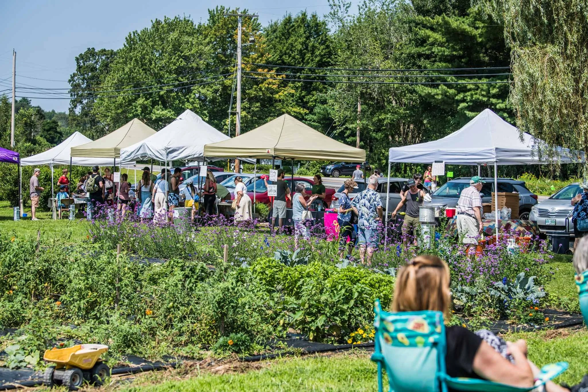 Events Programs Heron Pond Farm