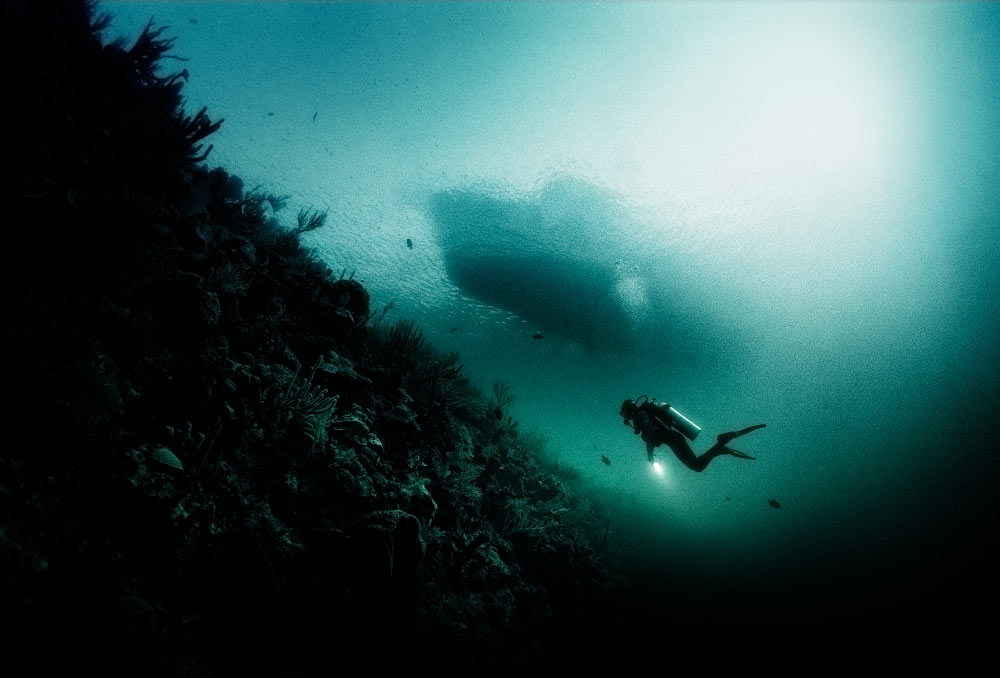 The drop off at Bloody Bay Wall, Little Cayman