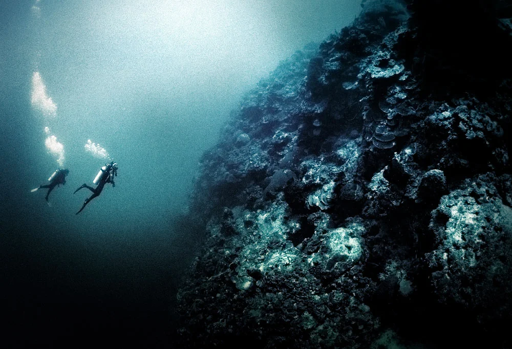 6000 feet drop off at Bloody Bay Wall, Little Cayman