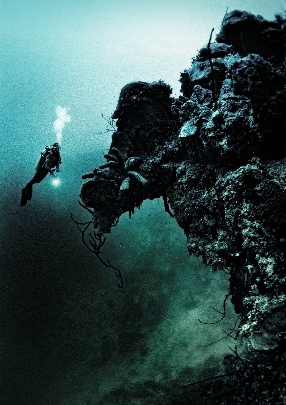 Stunning visibility near Bloody Bay Wall, Little Cayman