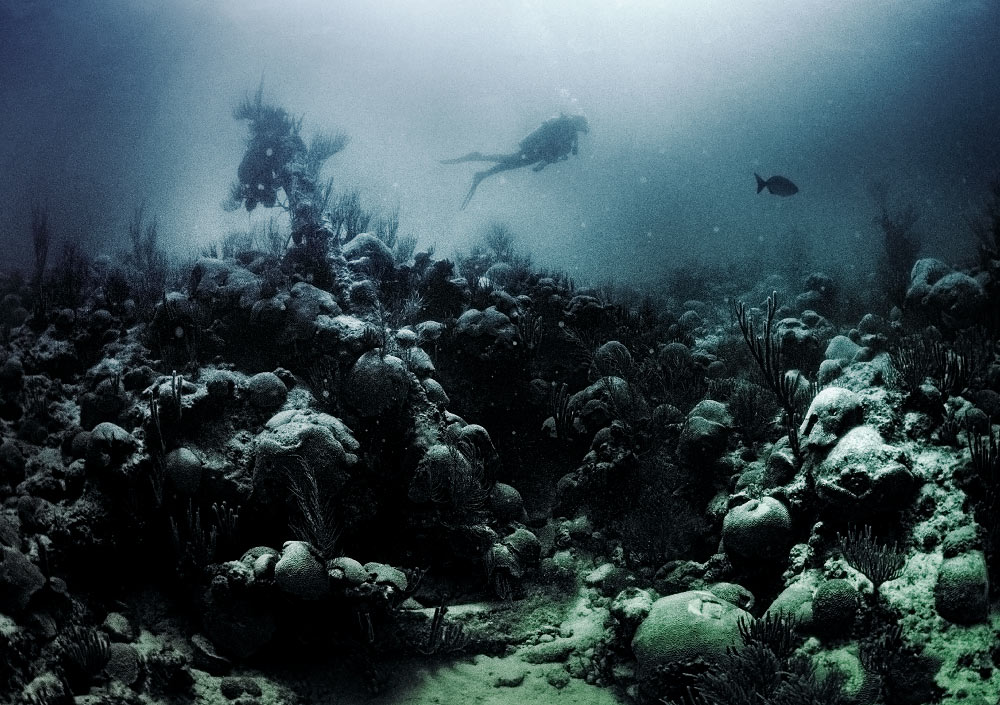 The huge fluted anchor from the wreck of L'Herminie, Bermuda