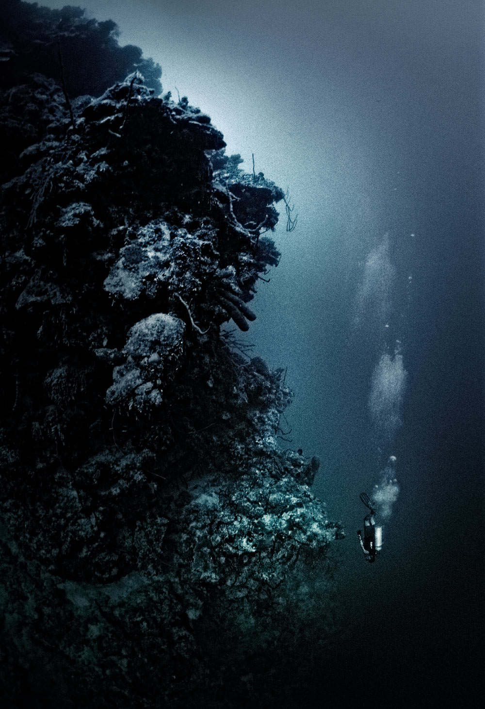 Live abroad captain and ex US Navy Seal Captain Tom Talmadge, diving for Lobster, Little Cayman