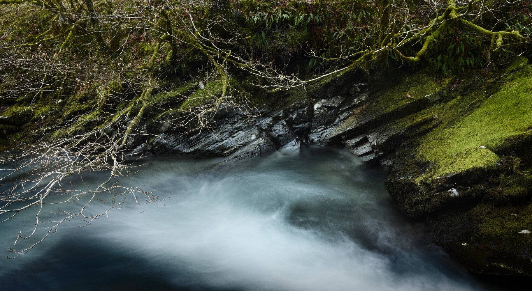 JC_NNW_Glen_Orchy_08_RGB.jpg