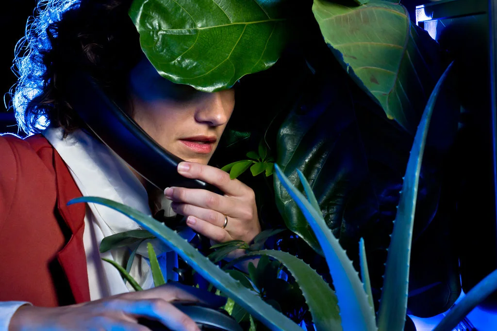 Photo by Steph Crousillat