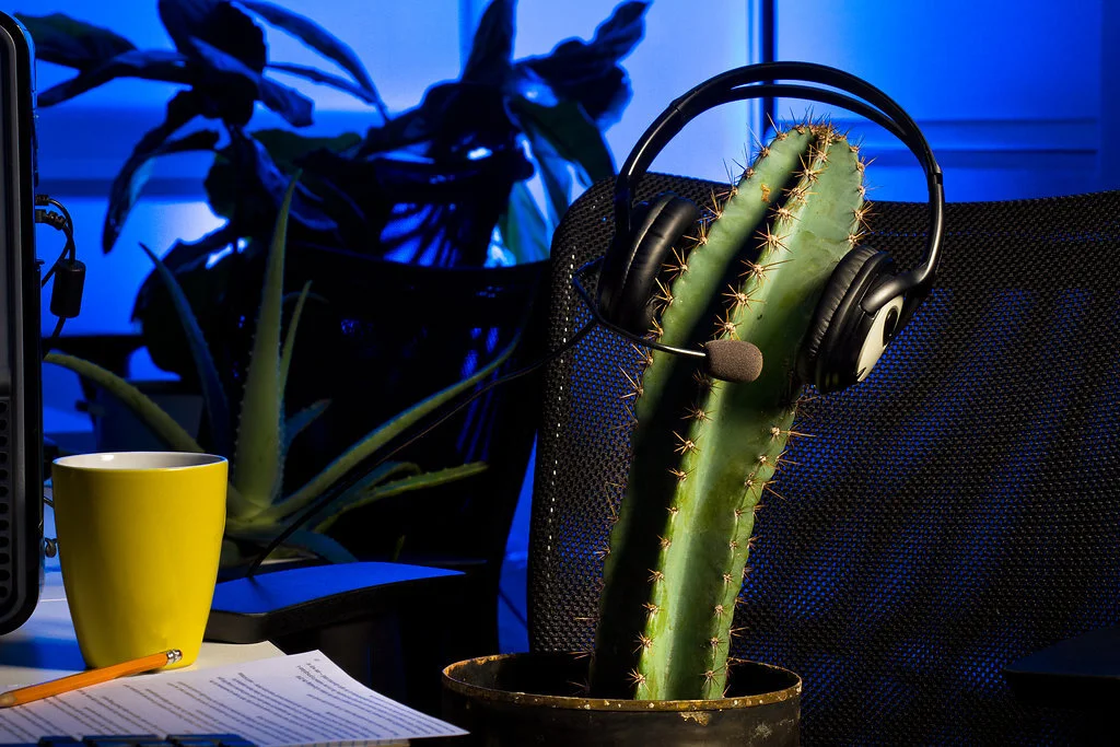 Photo by Steph Crousillat