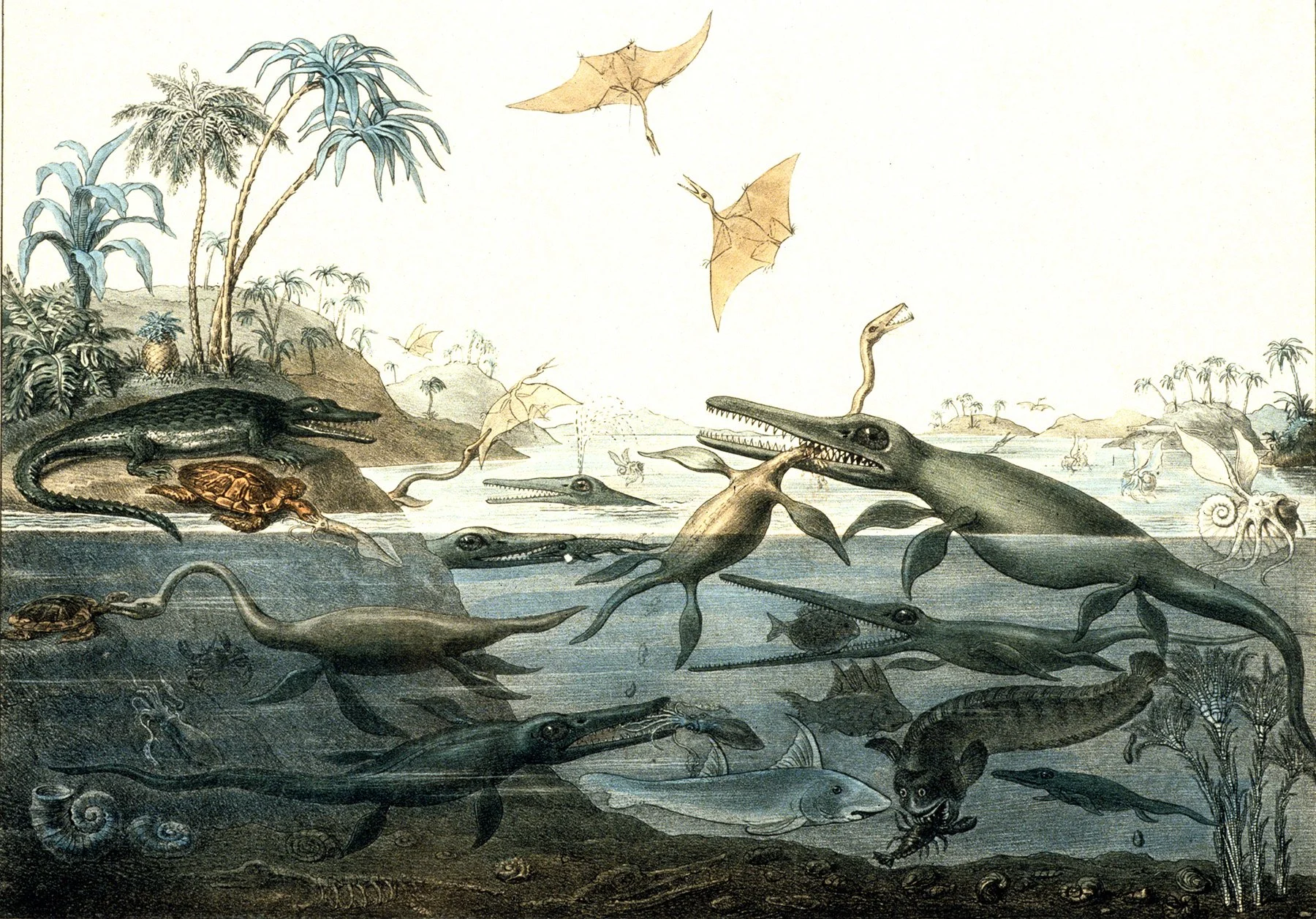 My Dog is Dead — kate douglas