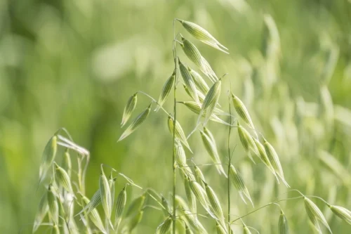 AdobeStock_111071724.jpeg