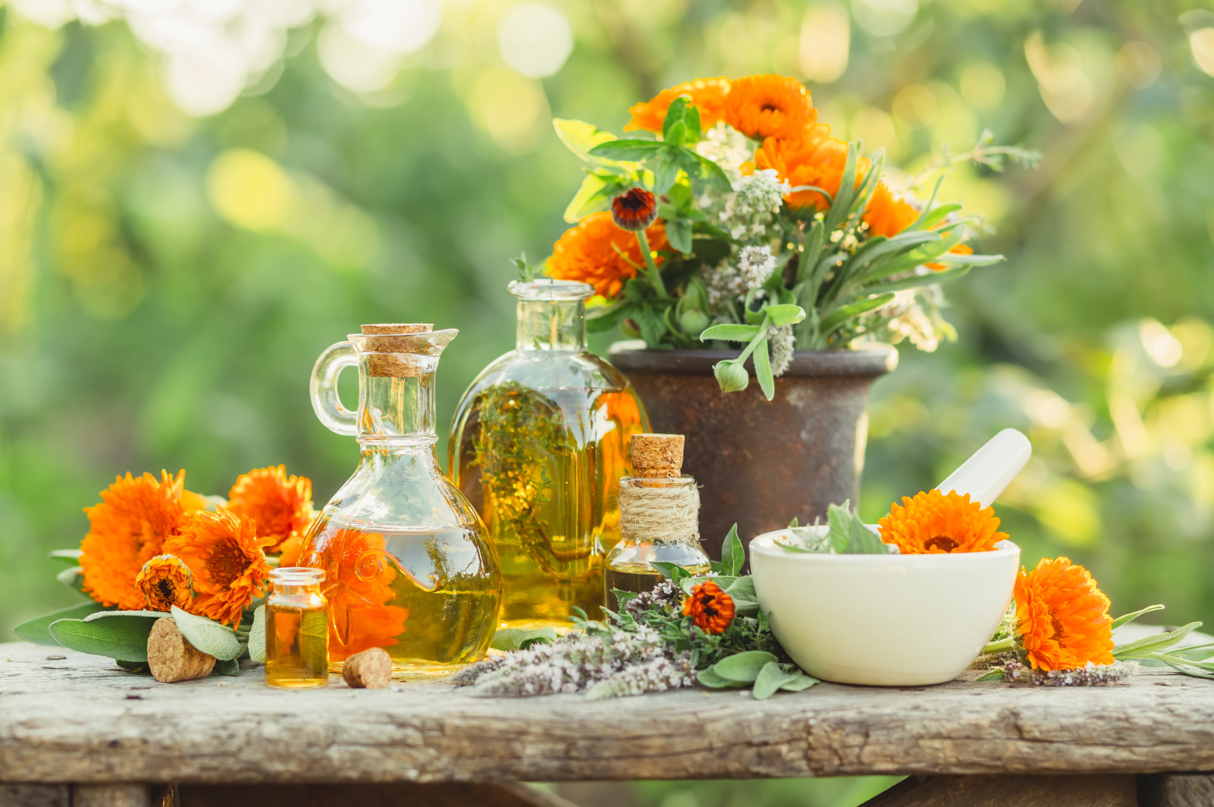 Calendula in wild.jpeg