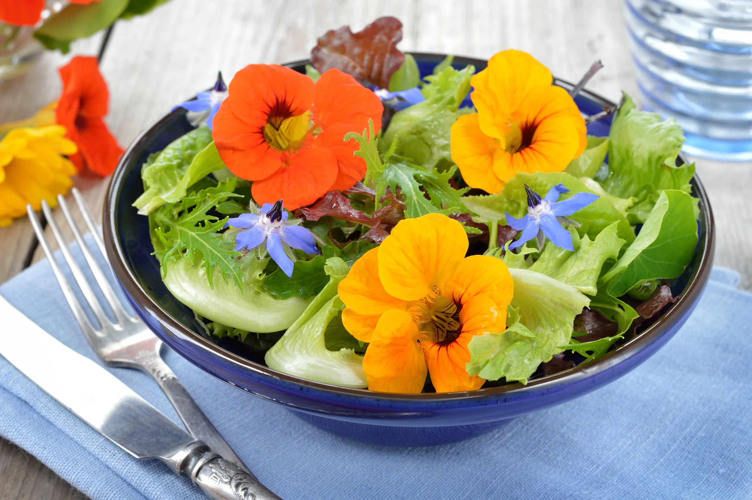 nasturtium salad.jpeg
