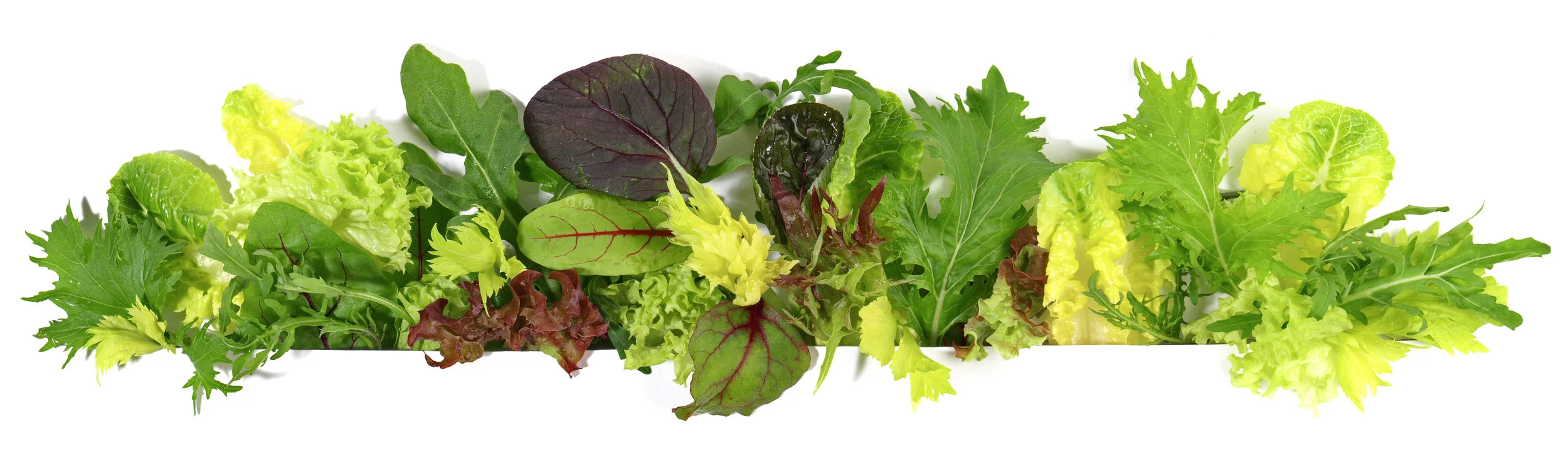 bitter greens.jpeg