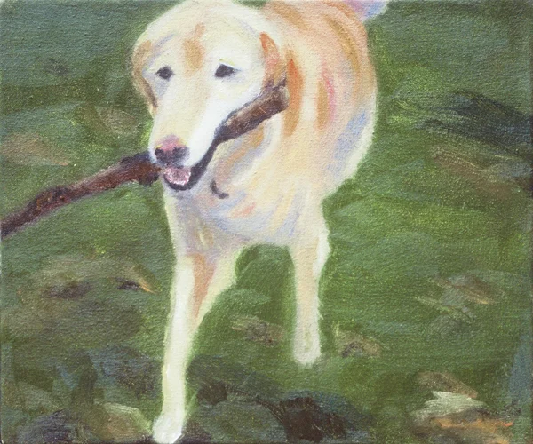 Bone 2005 Oil on Canvas 10"x12"