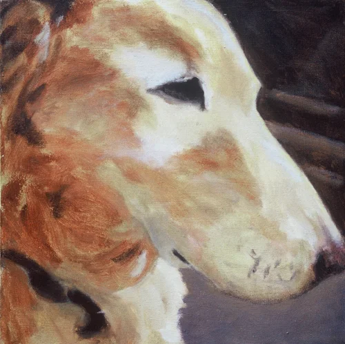 Bone 2005 Oil on Canvas 16"x16"