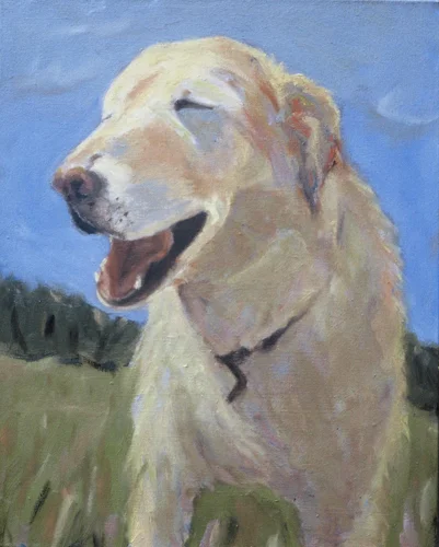 Mrs. Shirley's Field Oil on Canvas 20"x16"