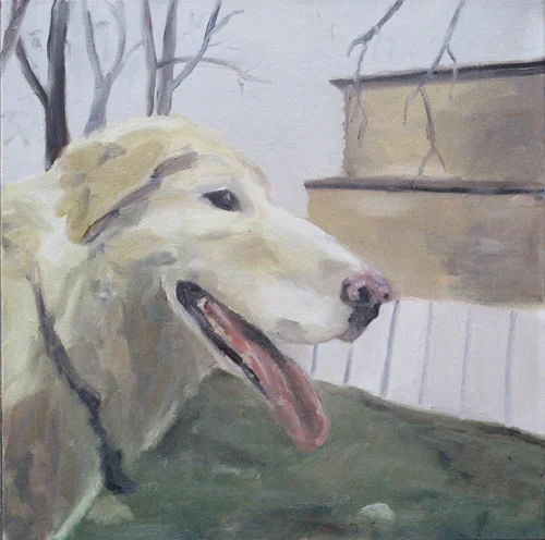 Bone 2005 Oil on Canvas 16"x16"