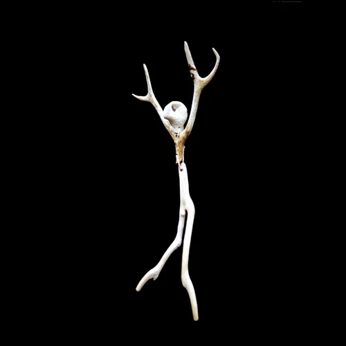 Mort 2003 Driftwood ,Coral, Wire 7"x4"x1" 