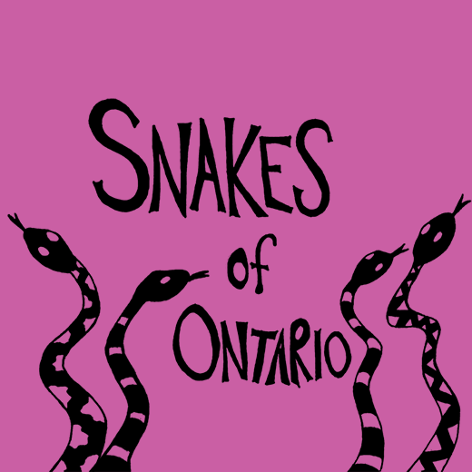 Snakes of Ontario Website Image.png