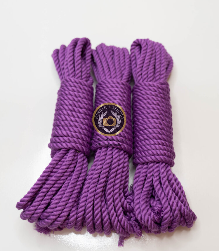 BAVIHOR Silk Rope, 32 Feet 8 mm Soft Rope Durable Multipurpose Long Satin  Braided Twisted Rope (2 Purple)