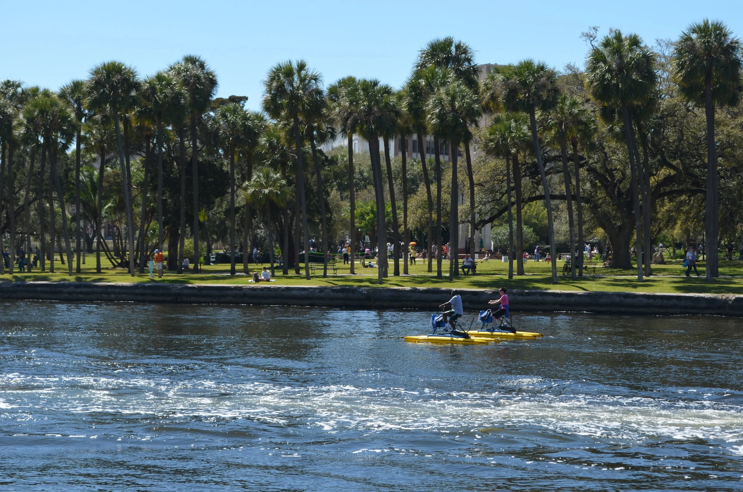 DSC_0301.jpg