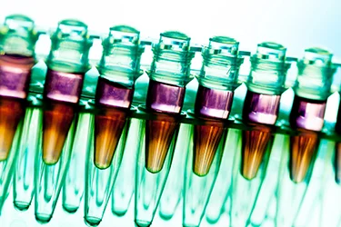 While many people don’t correlate unhealthy gums with cancer, recent research does draw a link.