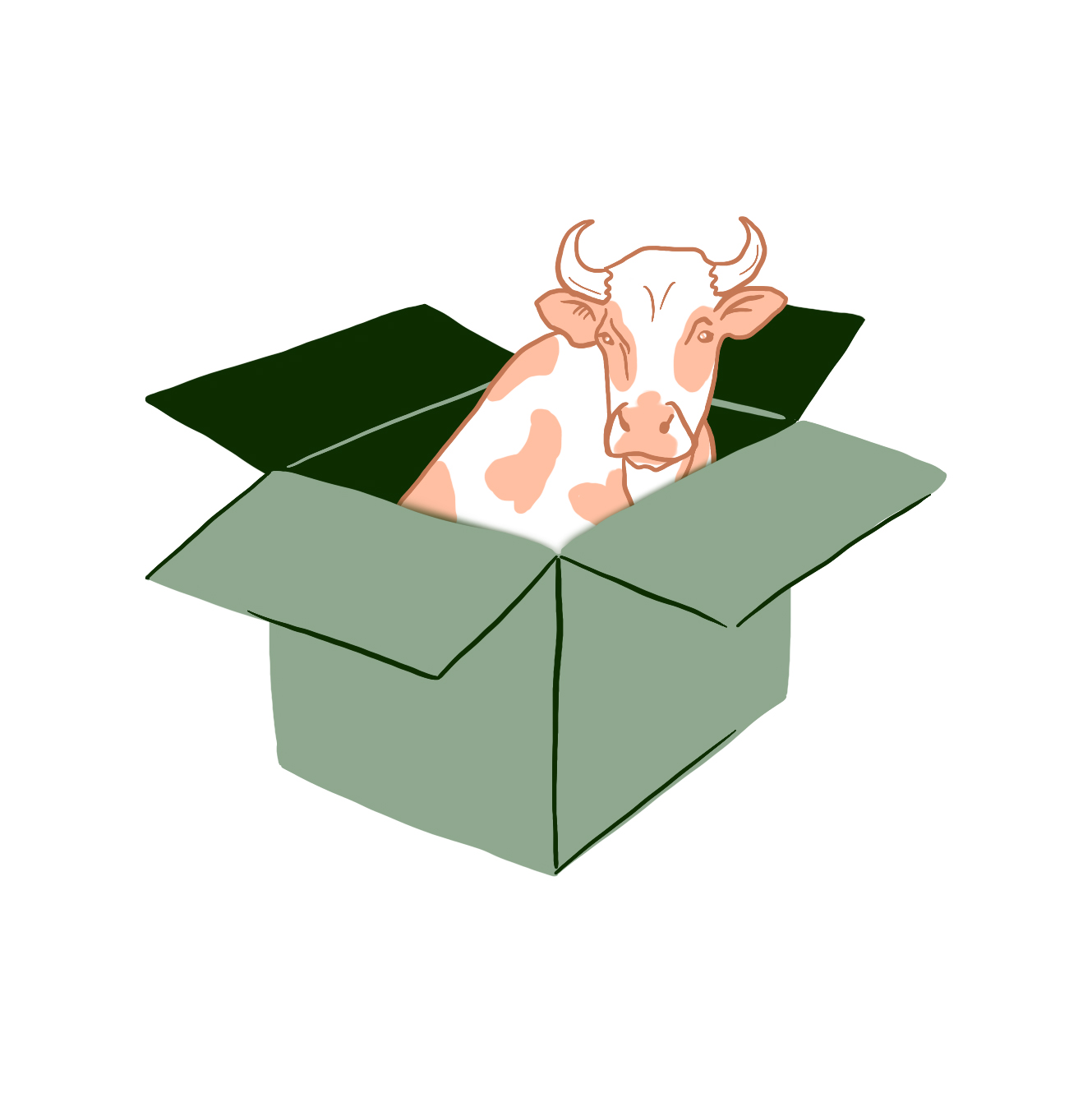 points-of-measure-resources-butcher-box.jpg
