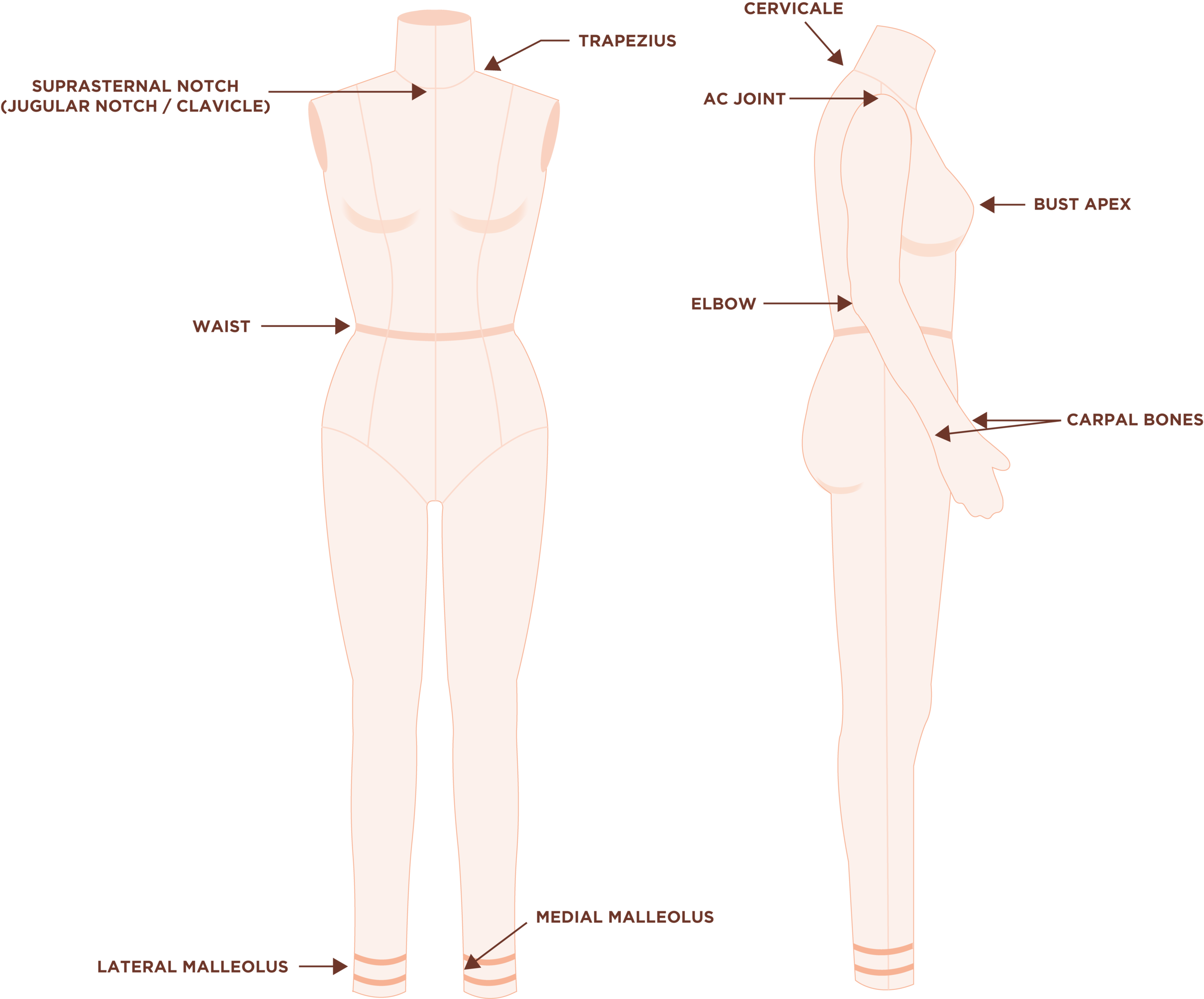 Model Measurements in cm Height 5 ft 10 in Bust/chest 30.7 in Hips