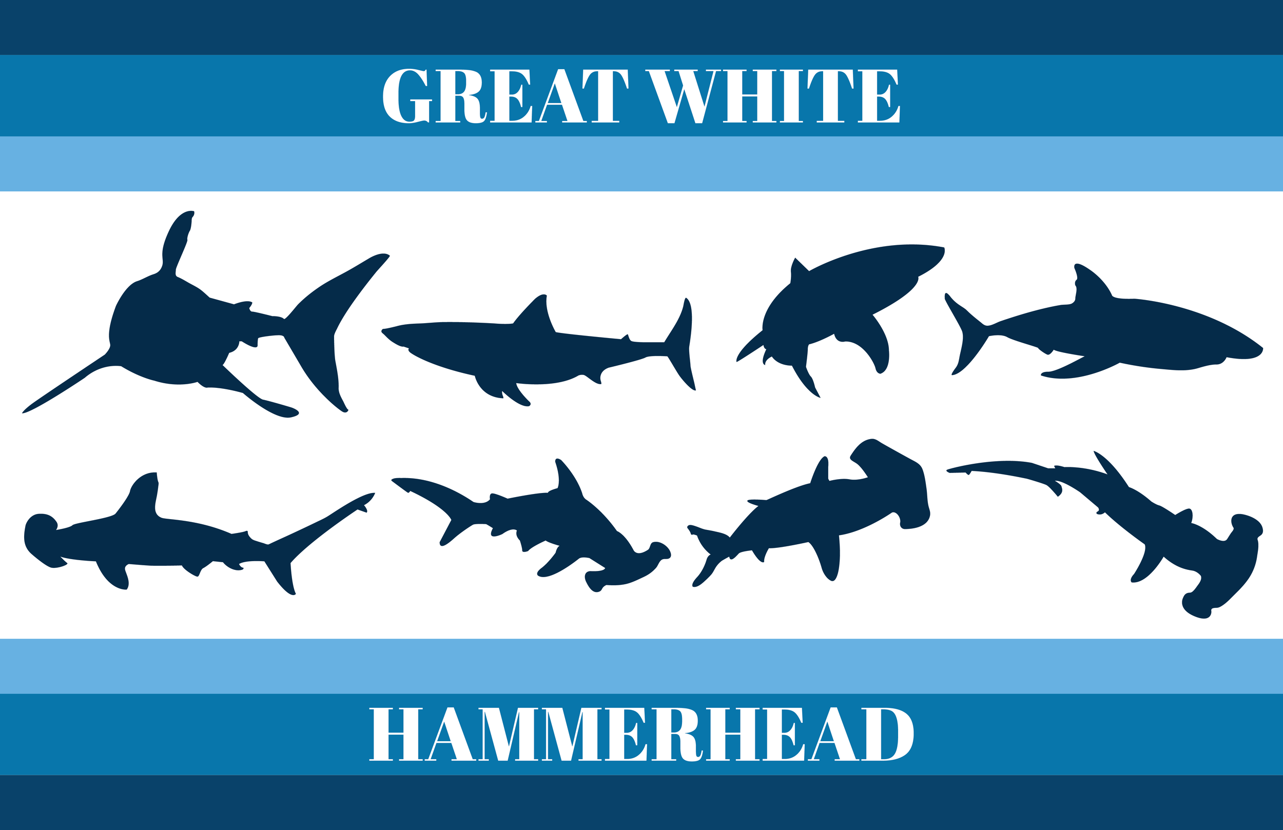 Great White & Hammerhead Shark Silhouettes