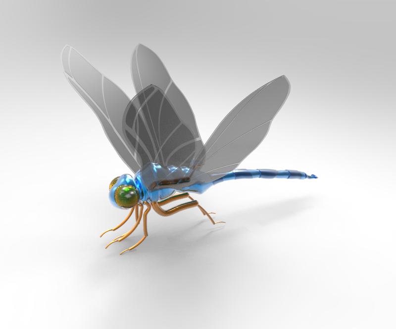Dragonfly - Side View