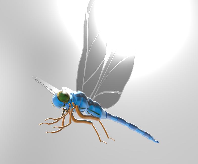 Dragonfly Rendering