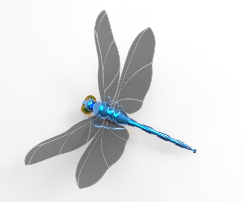 Dragonfly - Top View