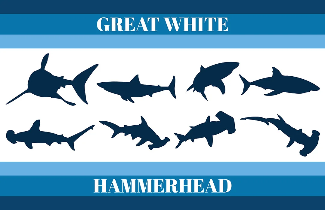 Great White & Hammerhead Silhouettes