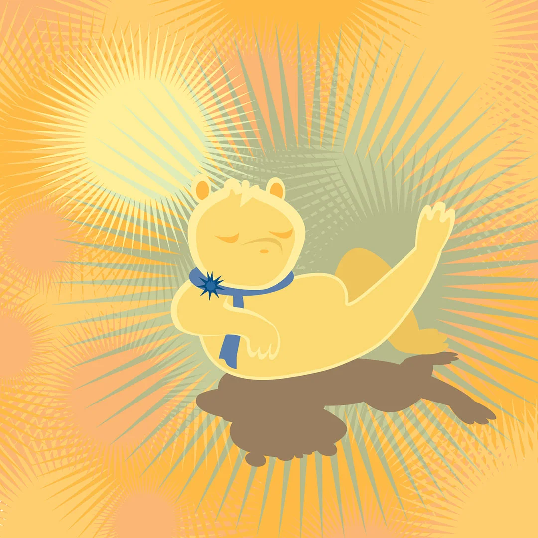 Sunbathing Bear