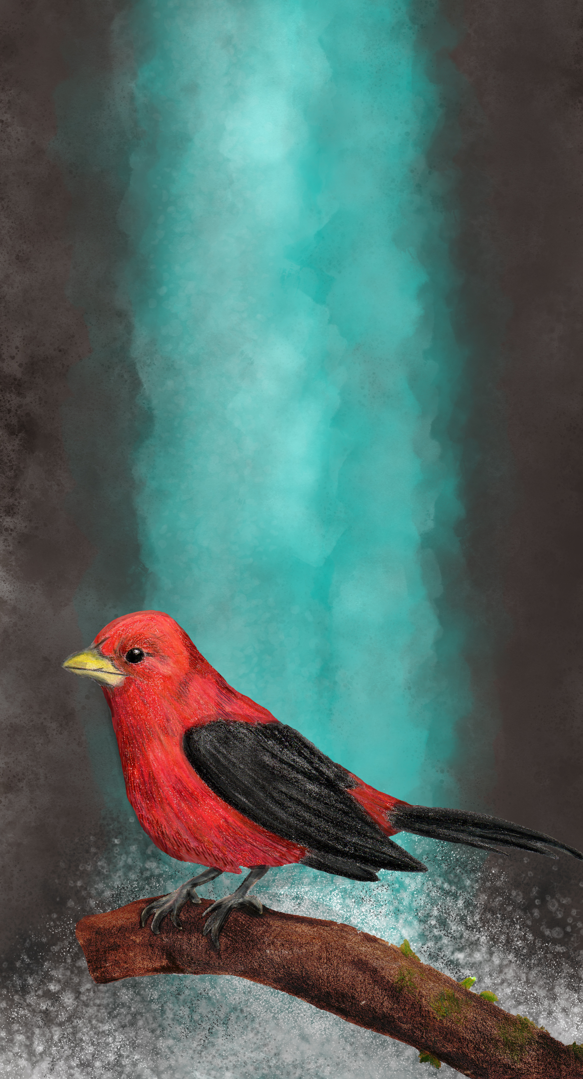 Summer Tanager