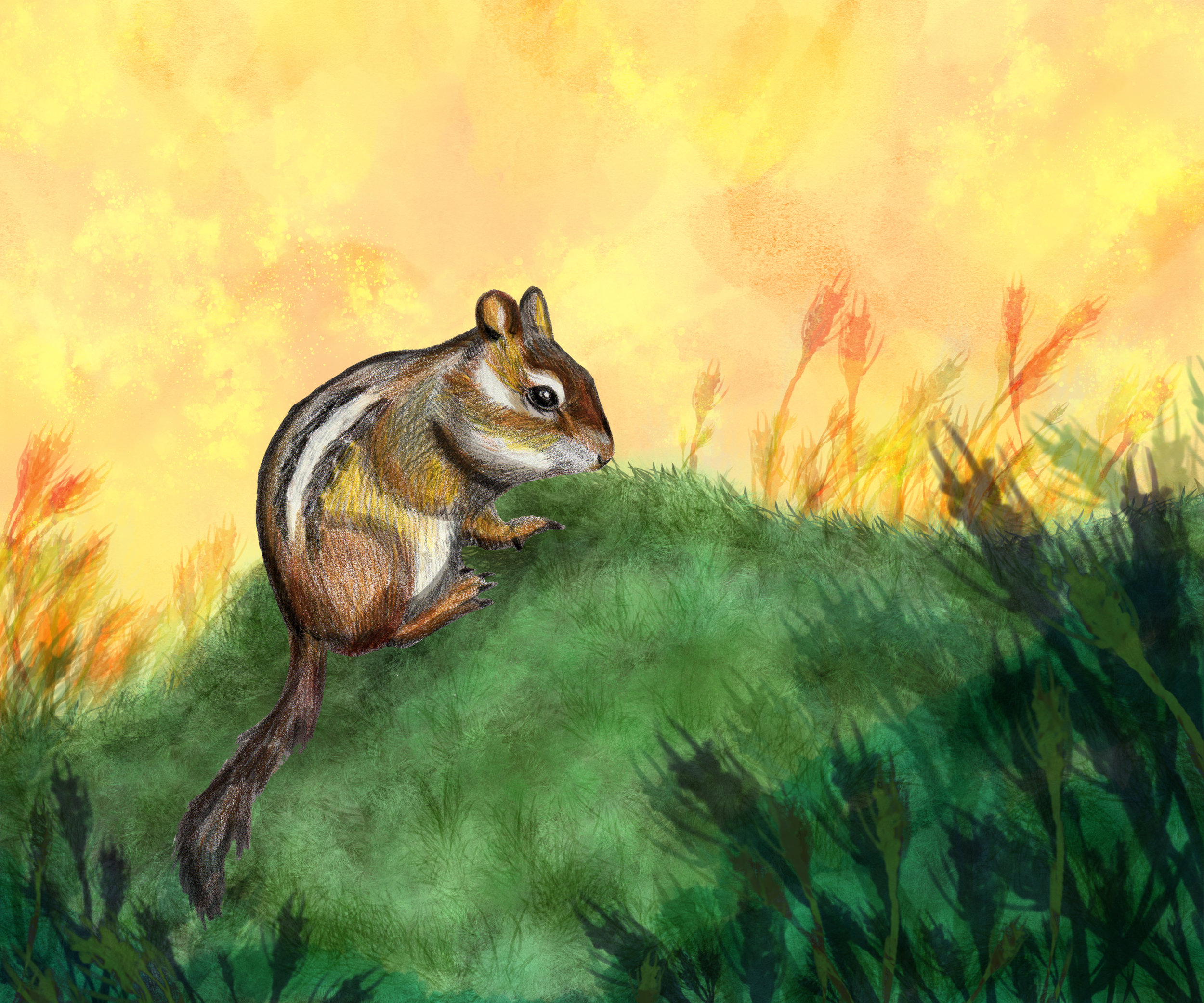 Cheerful Chipmunk