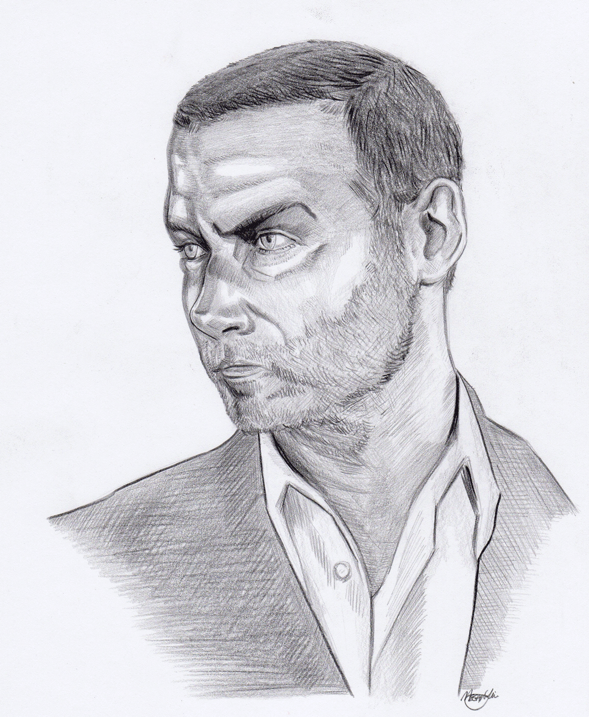 Ray Donovan Portrait