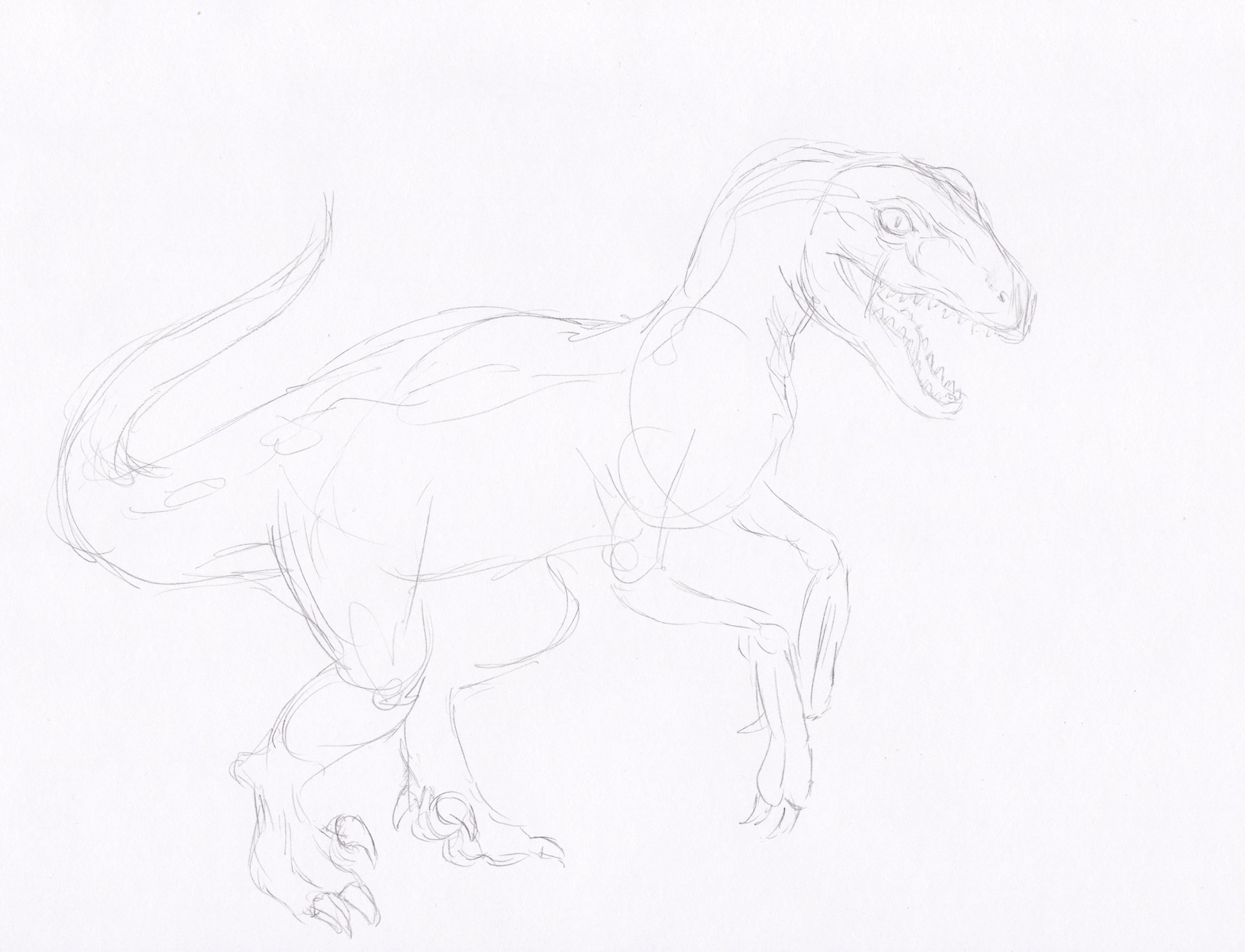 Velociraptor