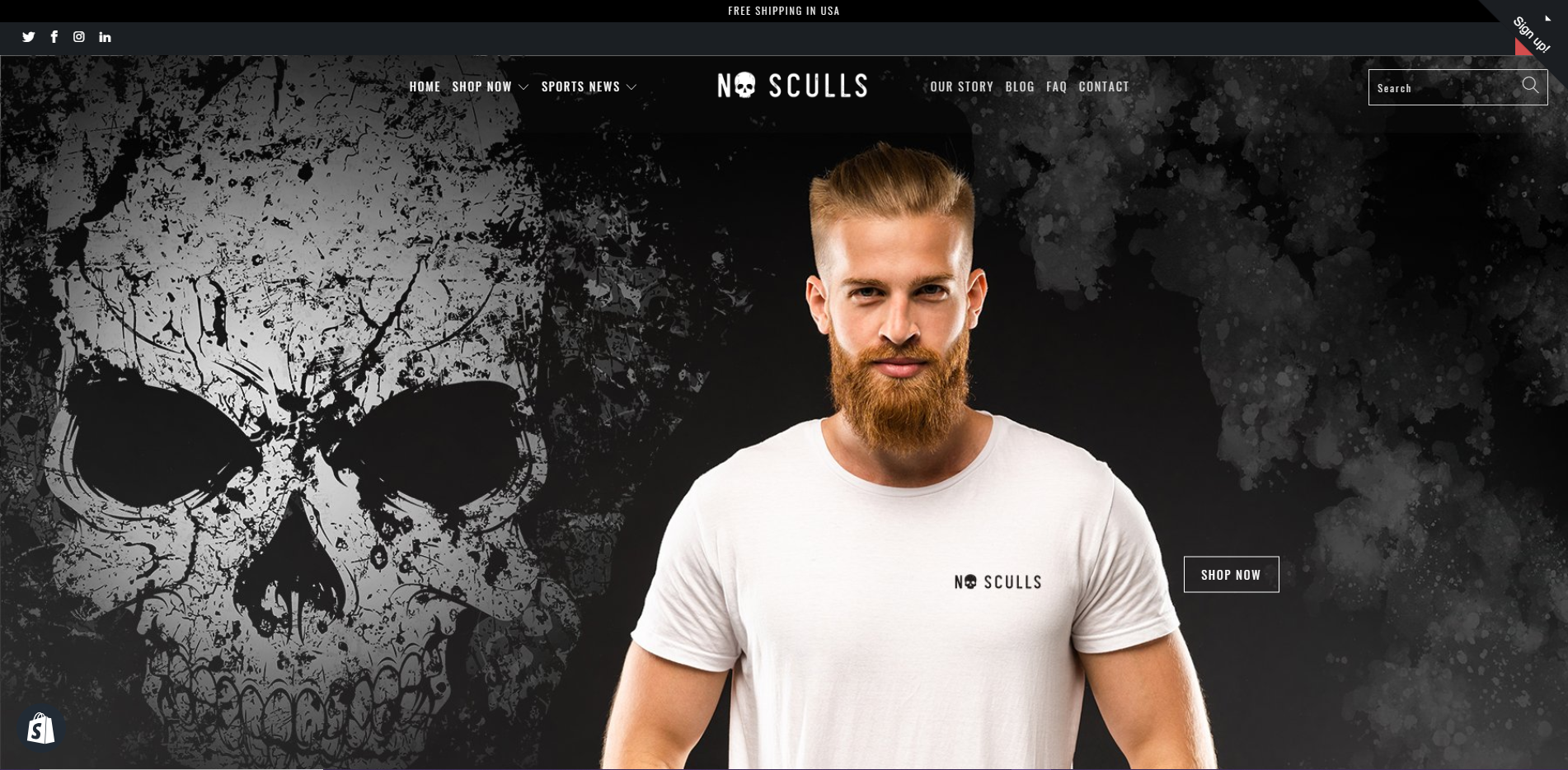 No Sculls Web Design