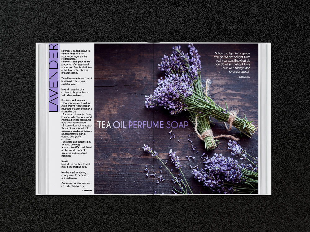 Lavender Article