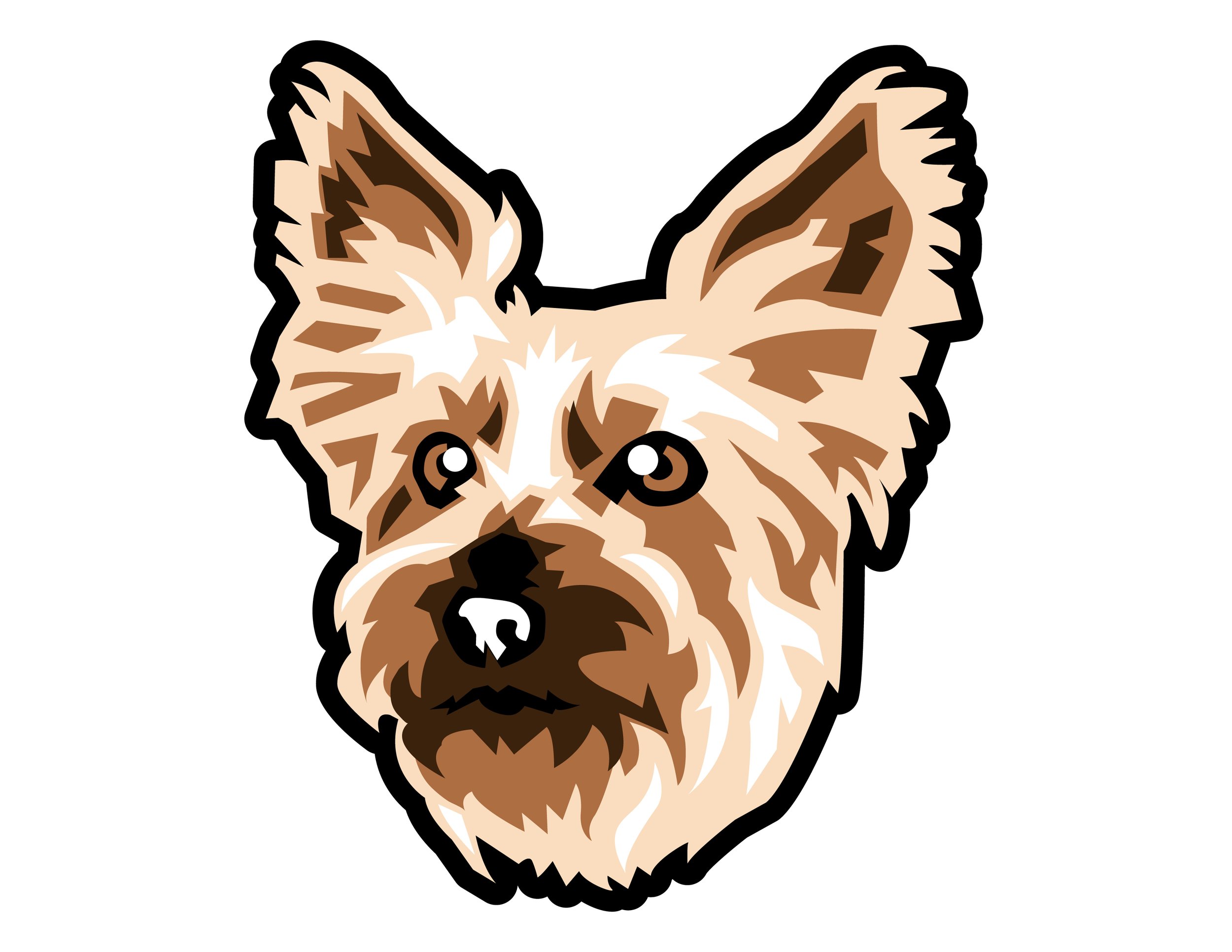 Dog: Silky Terrier