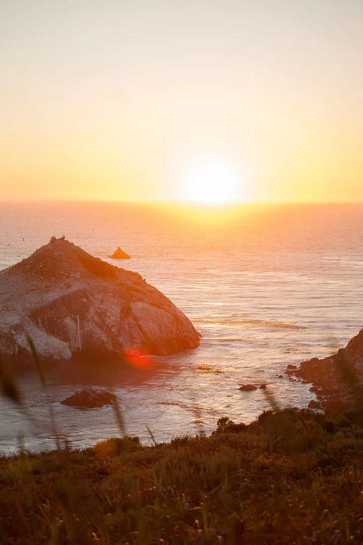 Whale Watching on the California Coast