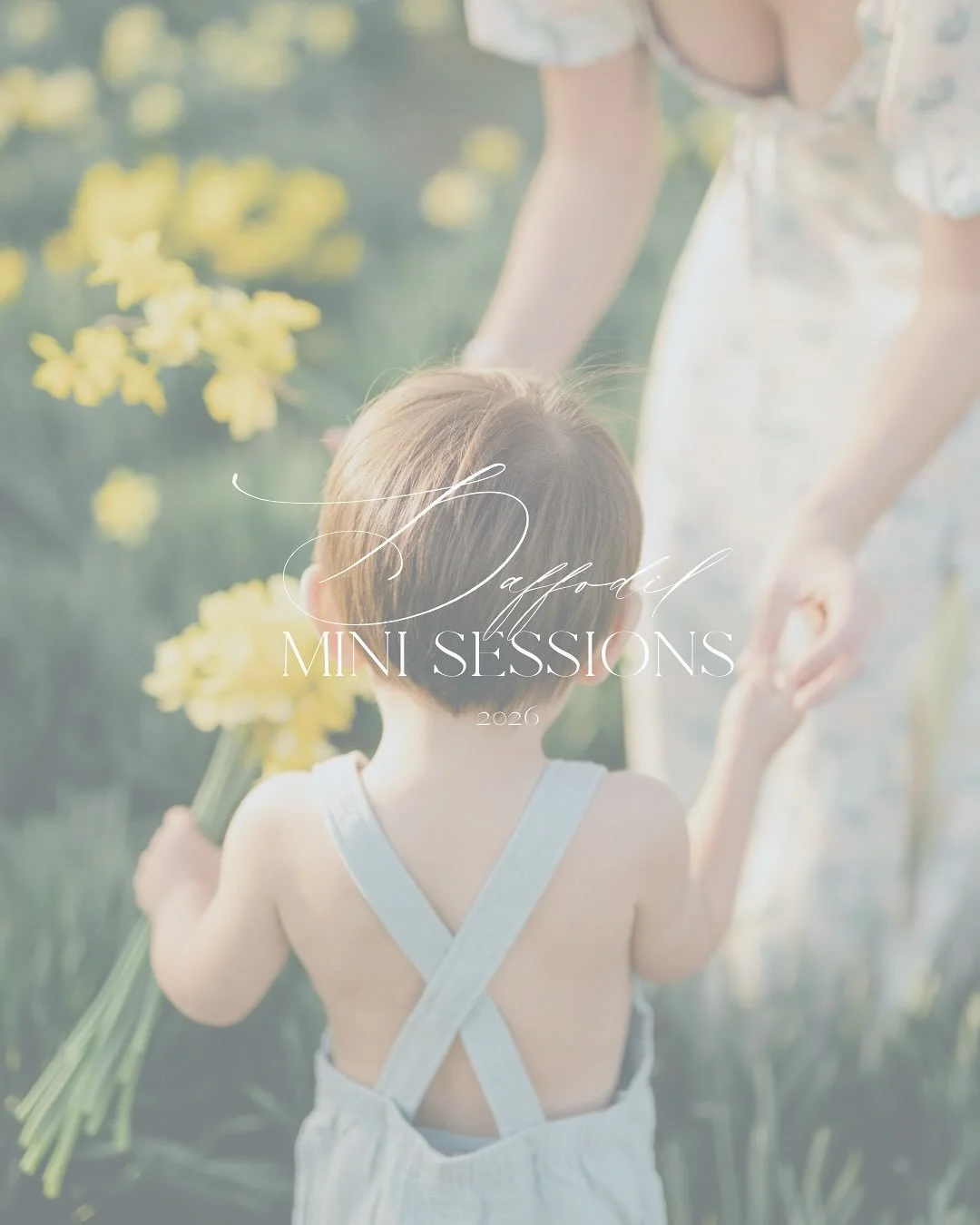 IT&rsquo;S TIME!!! Daffodil mini-session time!!! These are my favorite sessions every year and they go quickly so if you want a spot, grab one before they are gone! 

Send me a message to get started!