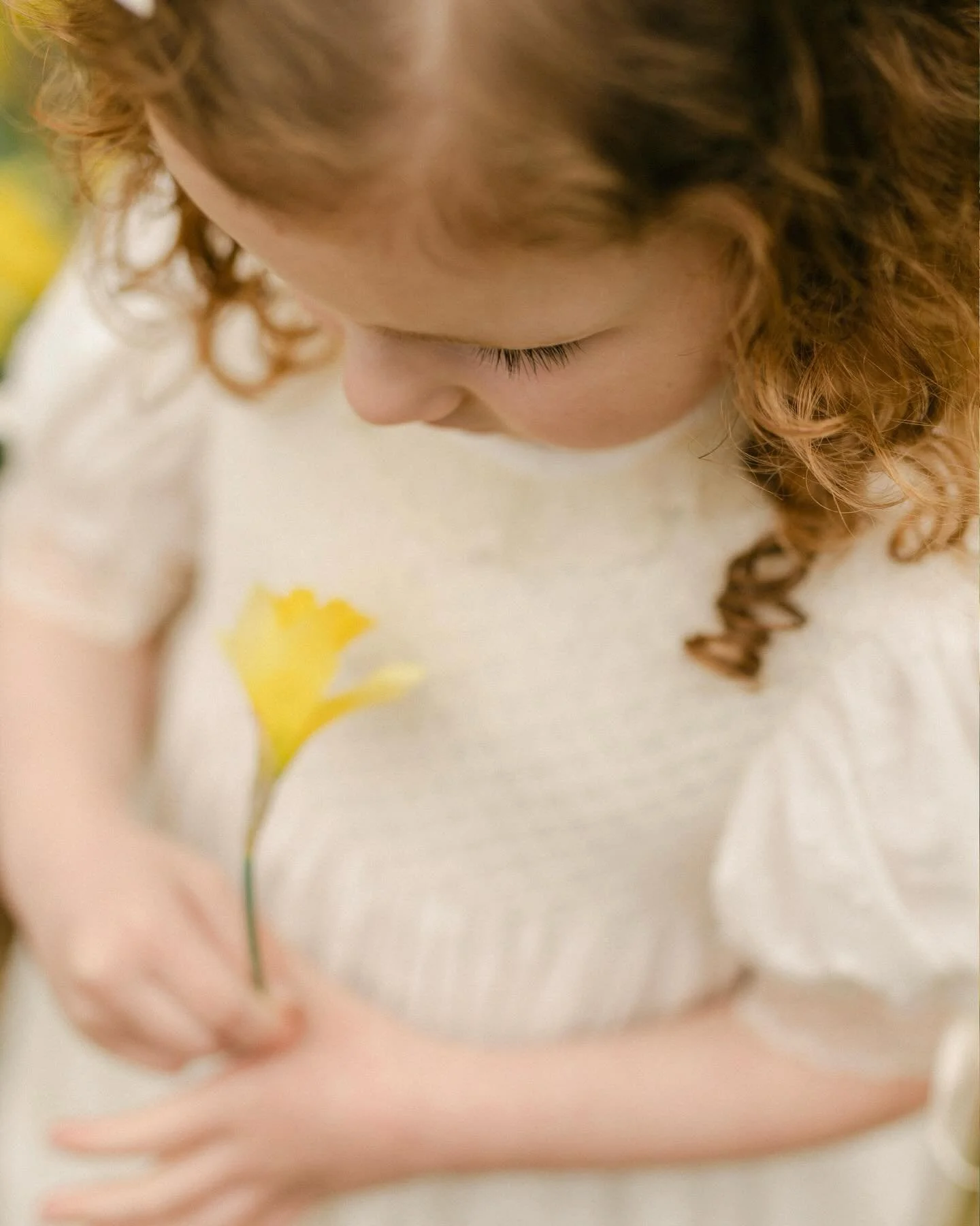A day in the daffodils! 🌼