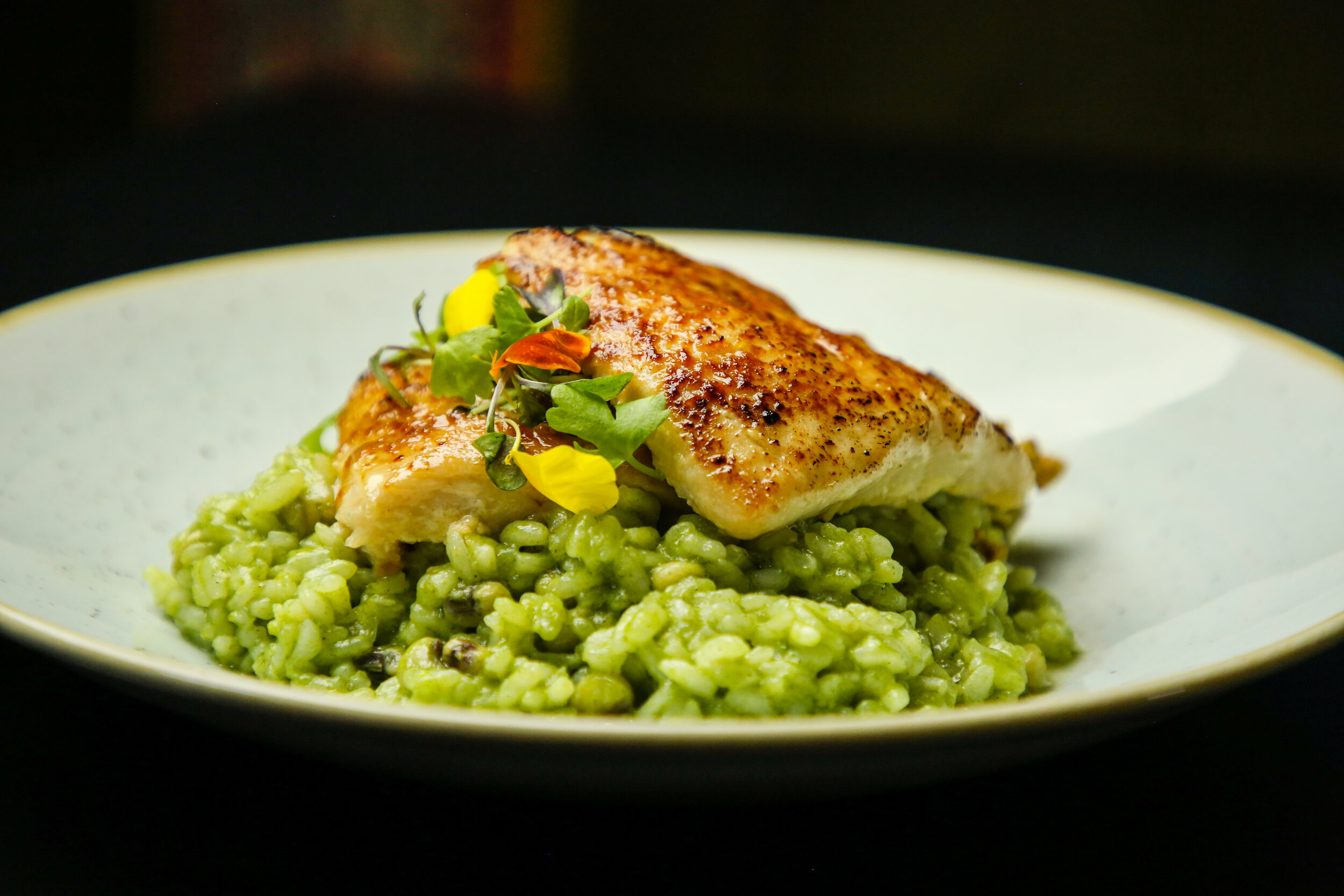 Red Snapper with Risotto