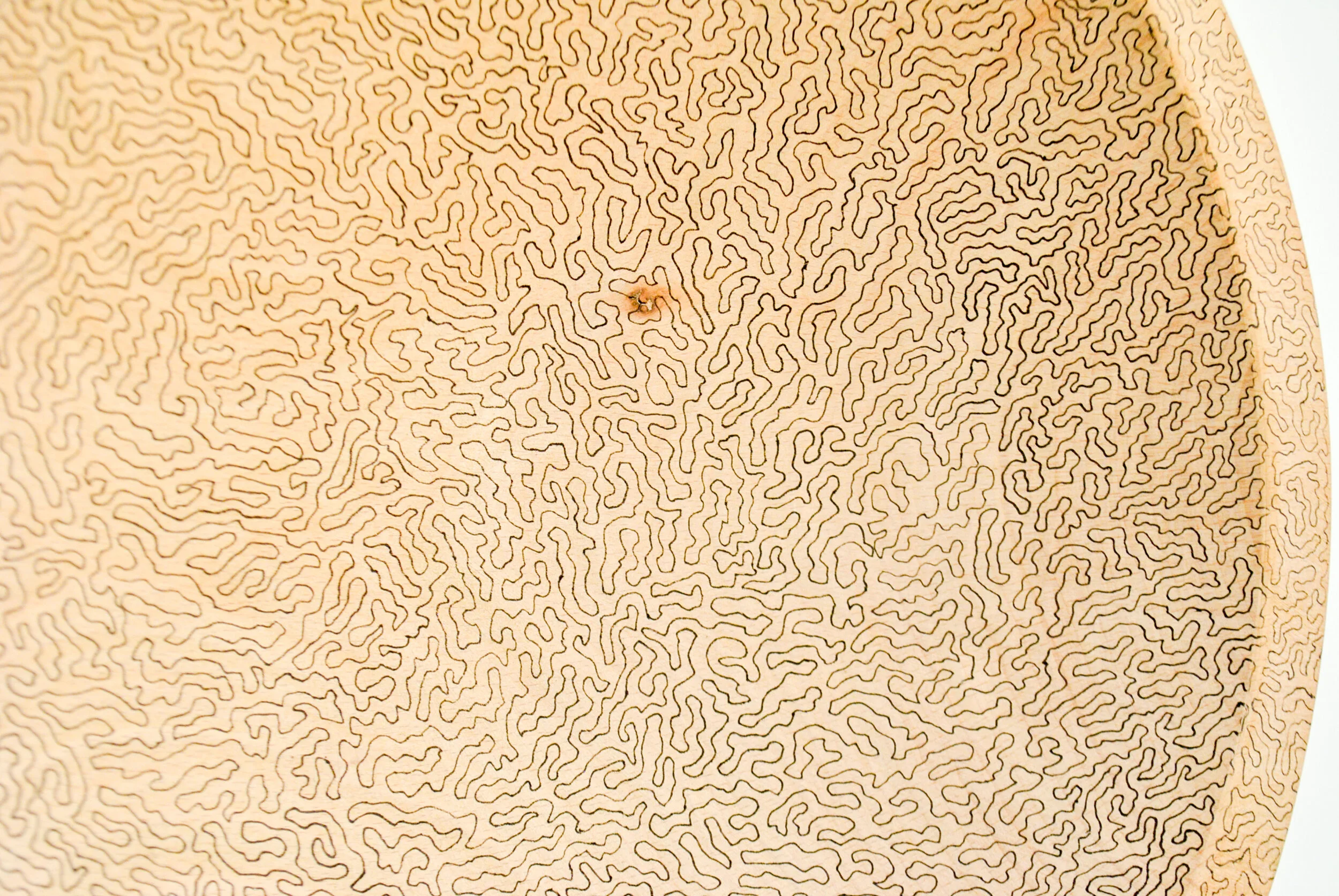 DSC_0710.jpg
