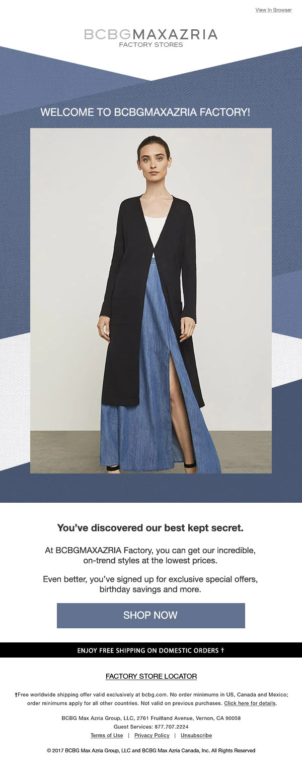 bcbg-concept1 copy.jpg