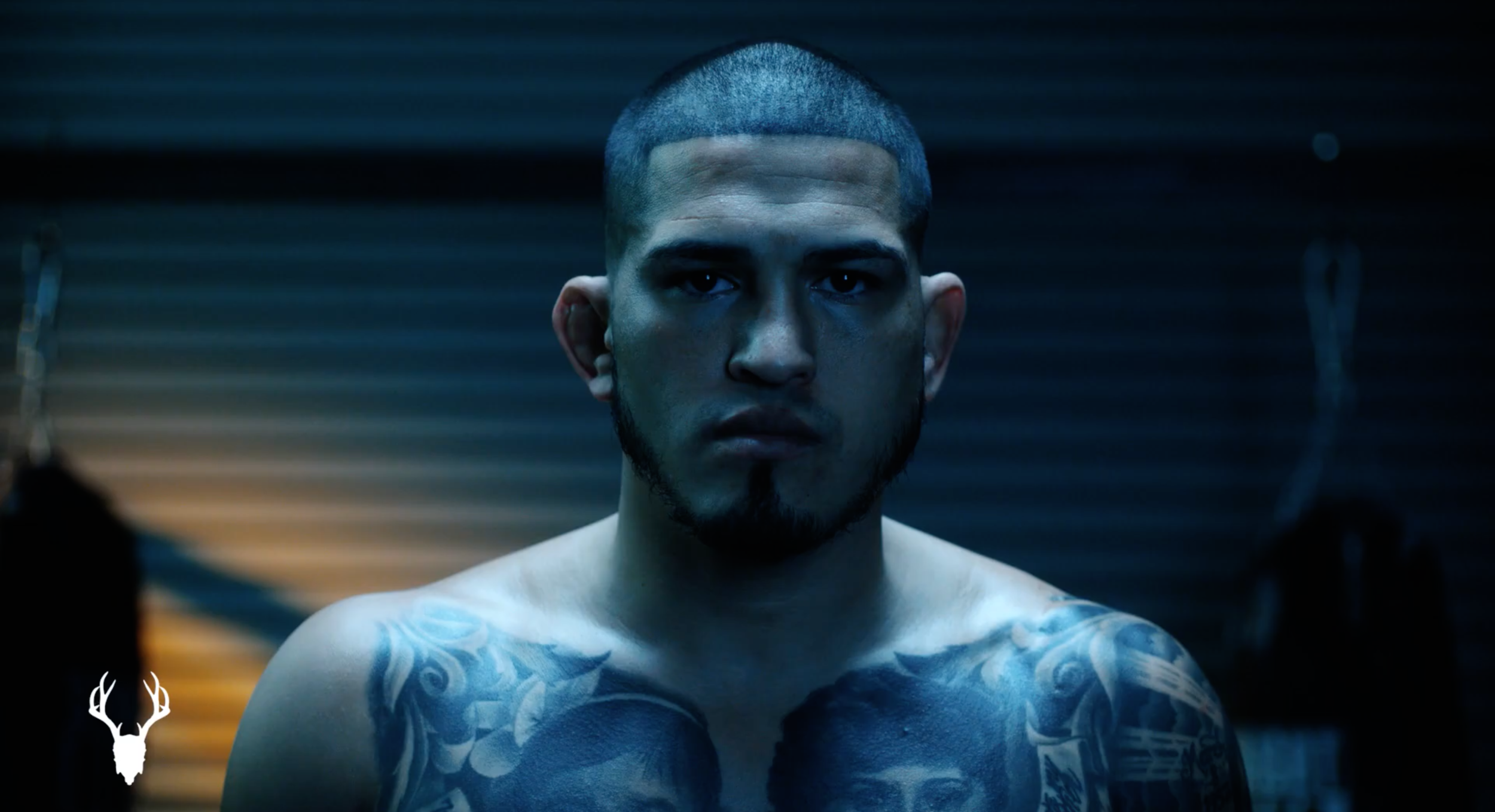 Mad Rabbit x Anthony Pettis — LAURA JANSEN